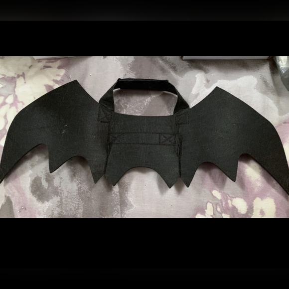 ⚡️Host Pick ⚡️Cat Costume "Bat Wings" Small Dog Costume - Picture 3 of 6